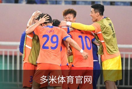 多米体育官网介绍